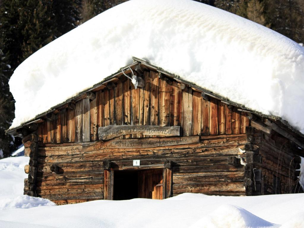 Ferienwohnung Centro Thule - Genziana Selva di Cadore Exterior foto