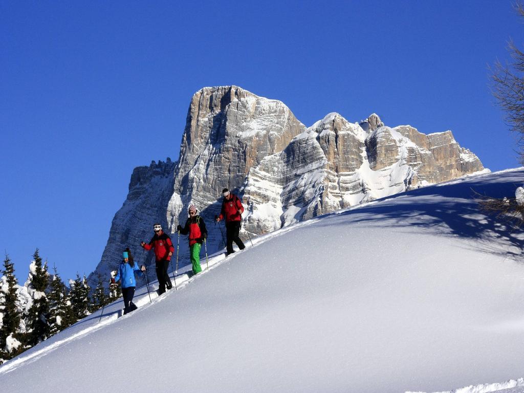 Ferienwohnung Centro Thule - Genziana Selva di Cadore Exterior foto